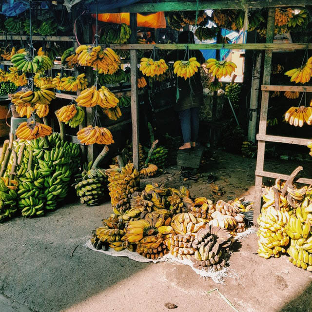 Banana